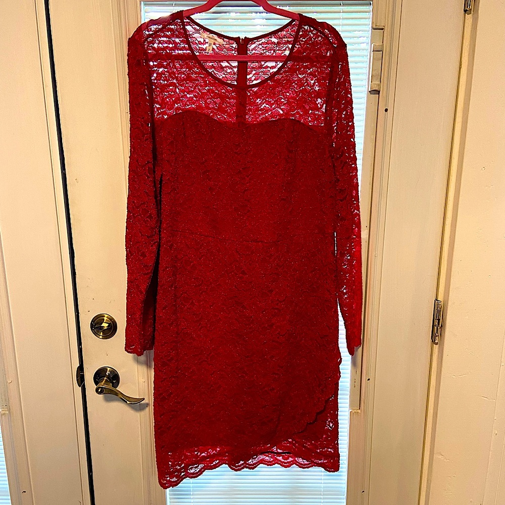 Women’s, lace, stretchy, knee length dress